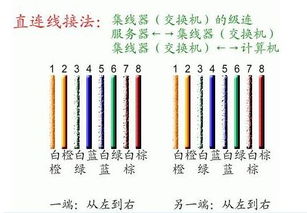 網(wǎng)線接水晶頭與信息面板的詳細(xì)教程 從零開始輕松搞定