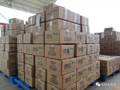 明日劇透 農(nóng)產(chǎn)品供應(yīng)鏈連起小農(nóng)戶和大市場(chǎng)